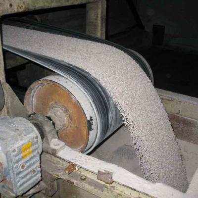 Belt conveyor fertilizer factory