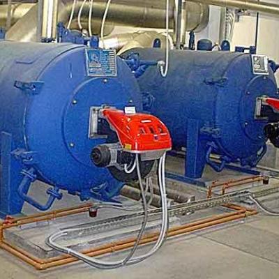 Double steam generator with gas burners